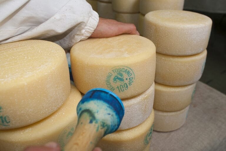 Exploring the Rich Heritage of Pecorino Cheese: A Journey Through Italy's Culinary Landscape