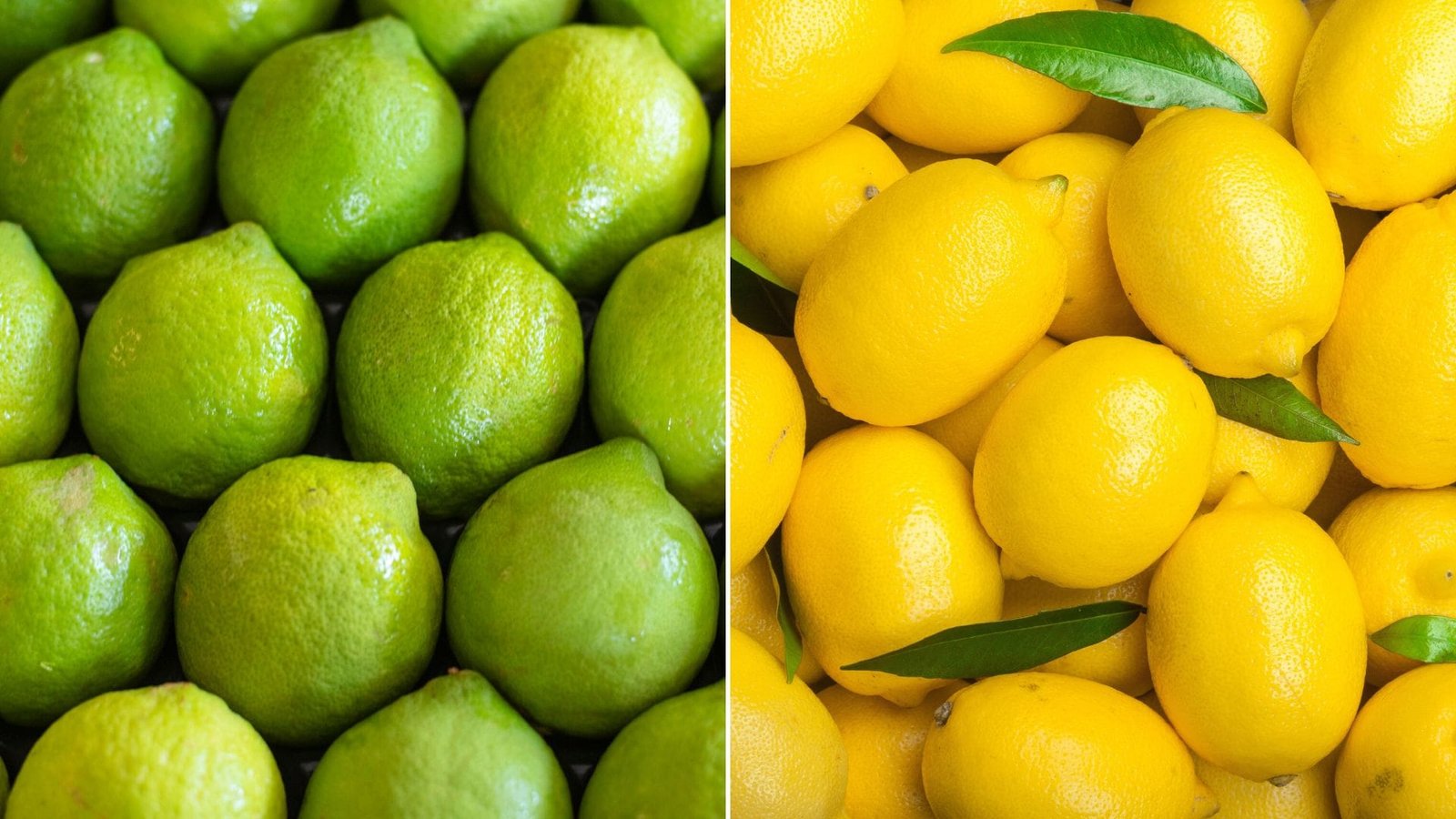 Green vs. Yellow Lemons: Which Makes the Perfect Artisanal Limoncello? Uncover the Secret!