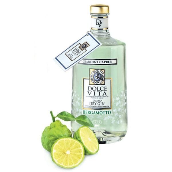 Bergamot Dolce Vita Dry Gin Mediterraneo - Giardini Capresi Gift Box with Professional Shaker