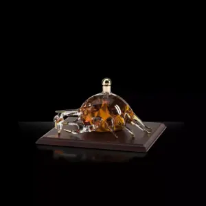 Buy Cancer Zodiac Constellation Grappa & Gift Box Online - Buona