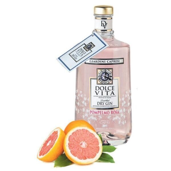 Pink Grapefruit Dolce Vita Dry Gin Mediterraneo - Giardini Capresi Gift Box with Professional Shaker