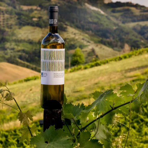 BIO Marche IGT Passerina – Fresh & Sustainable Organic White Wine
