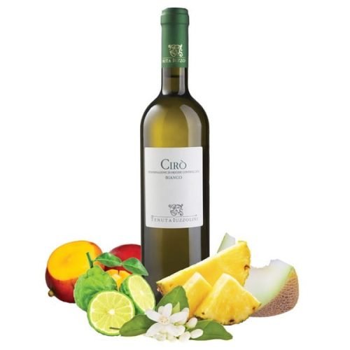 Cirò DOC Bianco – Fresh & Harmonious Greco White Wine